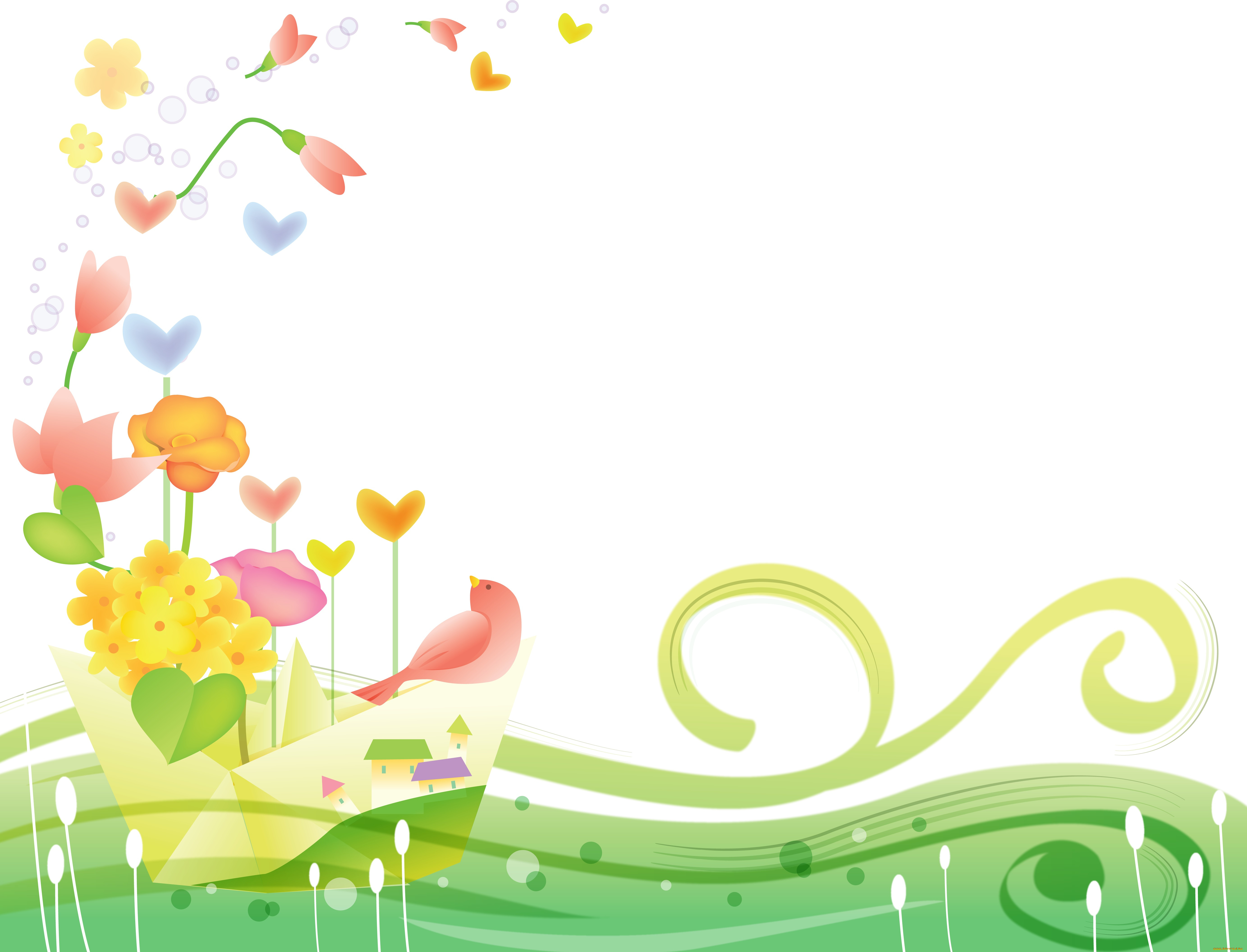  ,  , flowers, , 